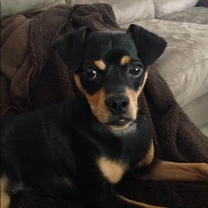 Meet your Posher, Rachel